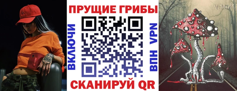 Псилоцибиновые грибы Cubensis Энгельс